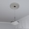 Ekena Millwork Traditional PVC Medallion (Canopies up to 11 1/2"), 19"OD x 3 1/2"ID x 1 1/2"P, Metallic Mist CMP19TREPE - alternate 7